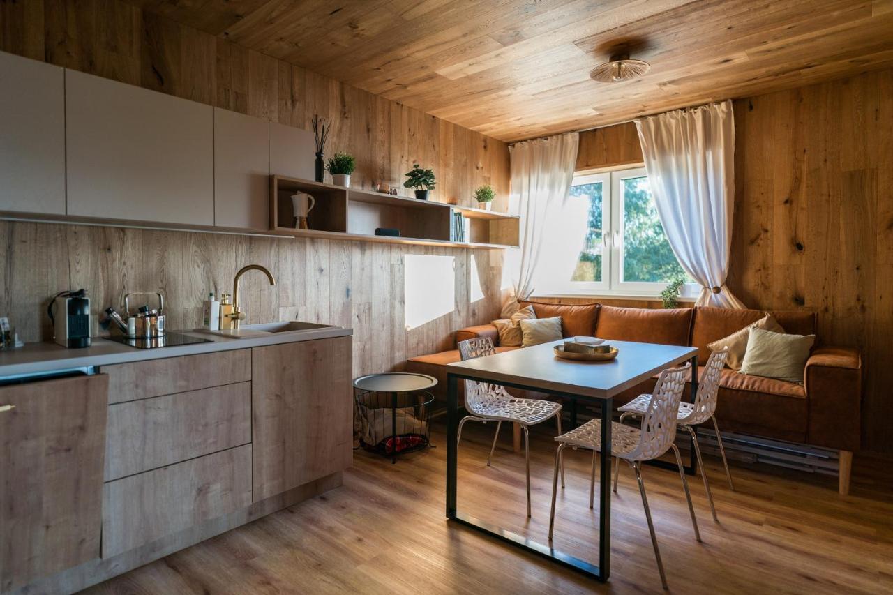 Unique Lipno Apartment Черна-в-Пошумави Экстерьер фото